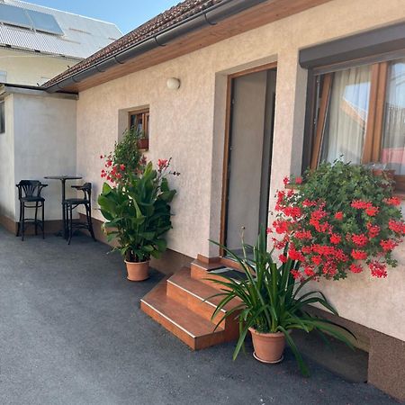Apartman Anna Ogulin Ngoại thất bức ảnh